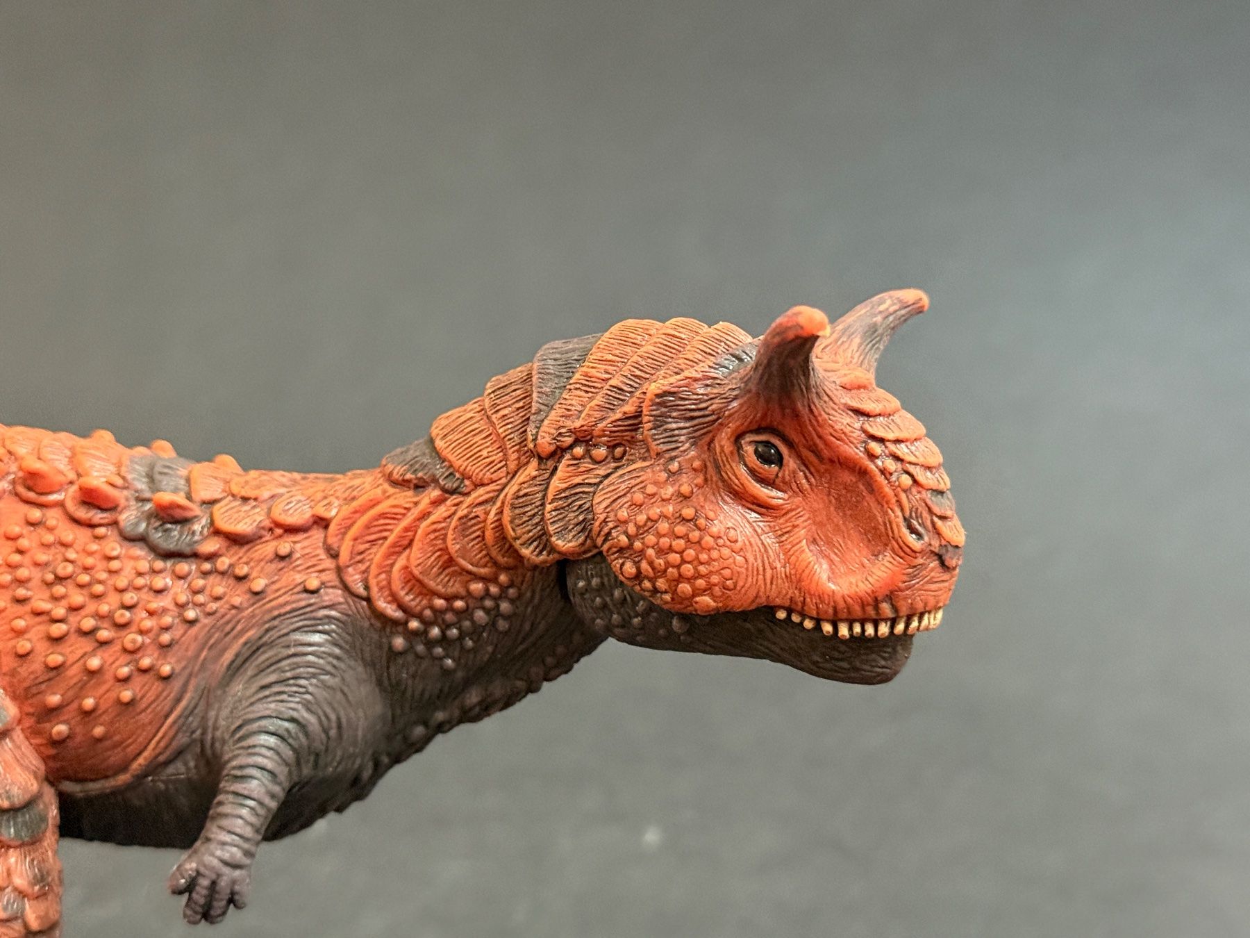 Schleich Statuette: Schleich 14586 Carnotaurus Dino Dinosaurier – Usato da Ennetbaden venduto da mapa05 2