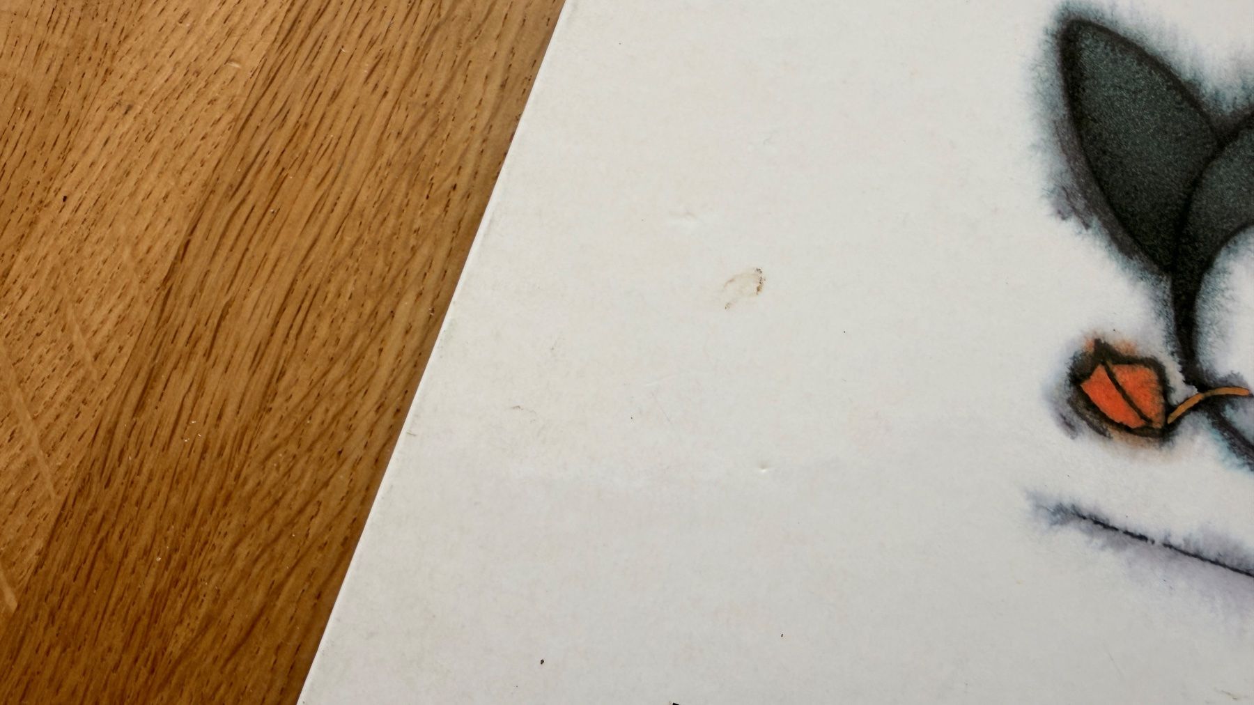 Libri: Buch - Pinguin Pit – Usato da Winterthur venduto da Secondhand-Family 3