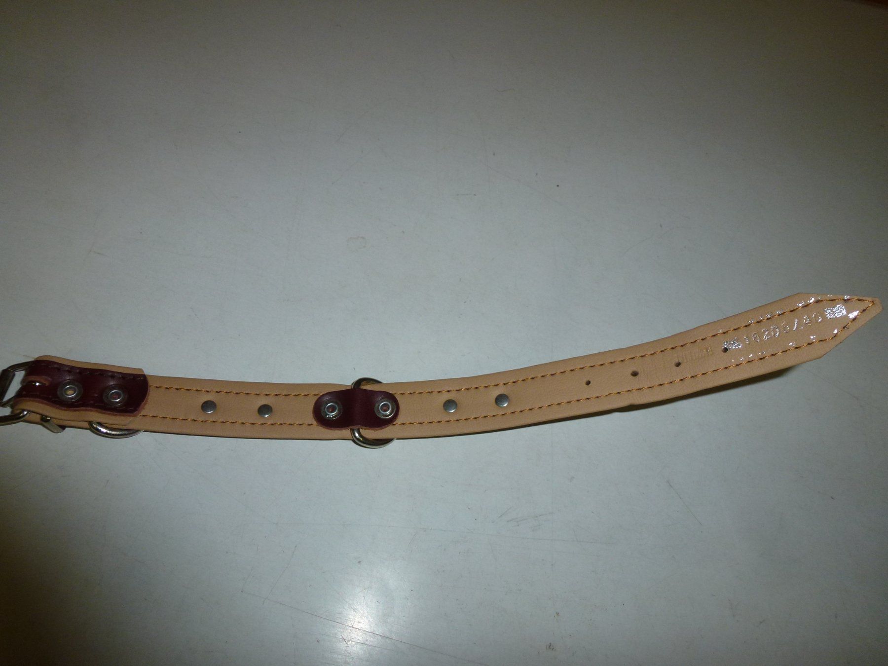 Leine & Halsband: Hundehalsband – Neu (gemäss Beschreibung) aus Bürglen UR von daisyxy5 5
