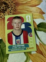 Panini WM 2026 Sticker Erling Haaland NOR 15 Neuwertig59