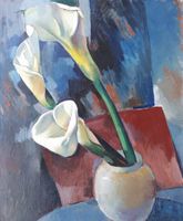 Arum d'Ethiopie - signature inconnue
