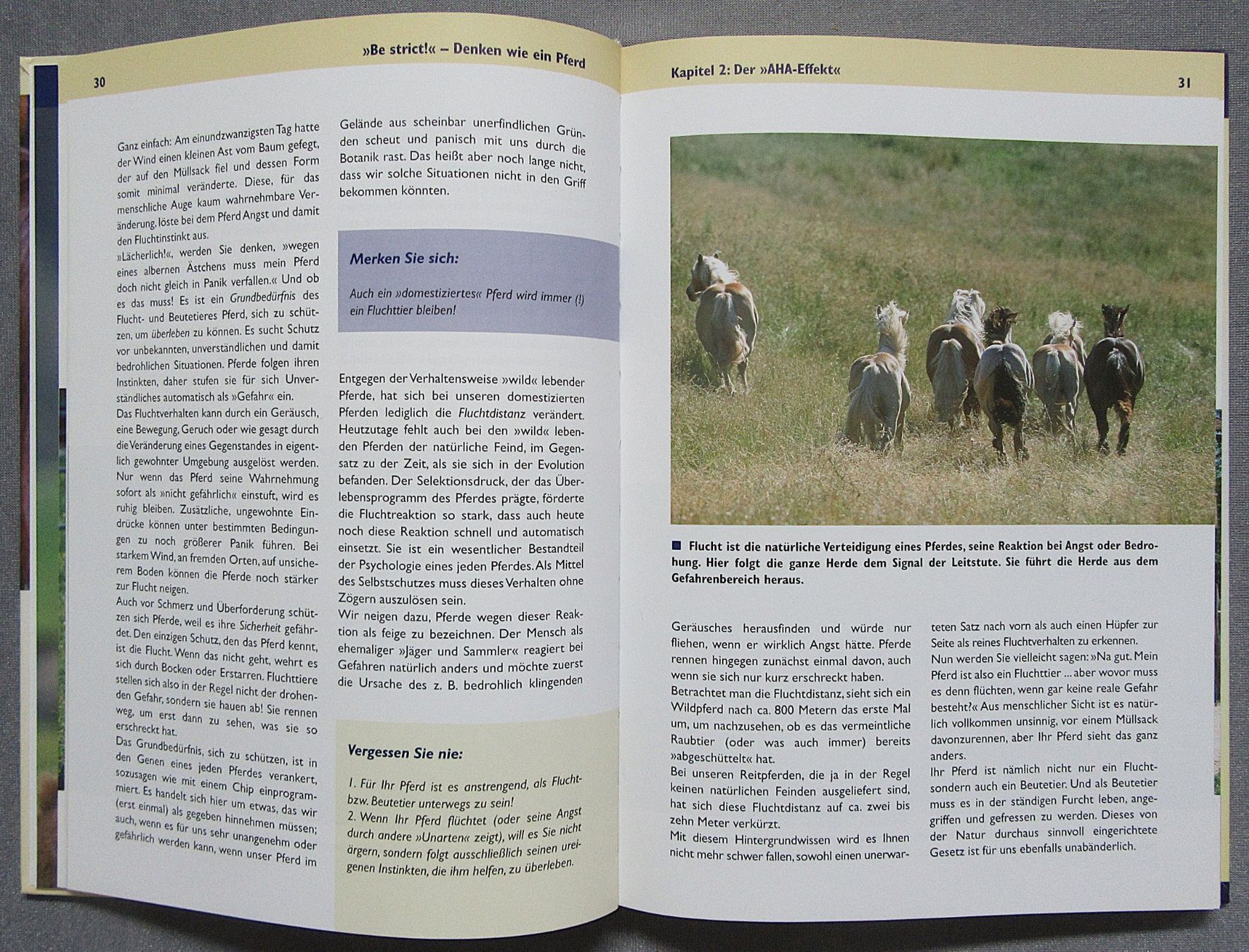 Libri: Be strict - Denken wie ein Pferd – Usato da Auenstein venduto da Padabimbim 4