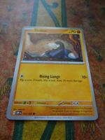 POKEMON  Drilbur    G  OBF EN    111/197    HP70    2023