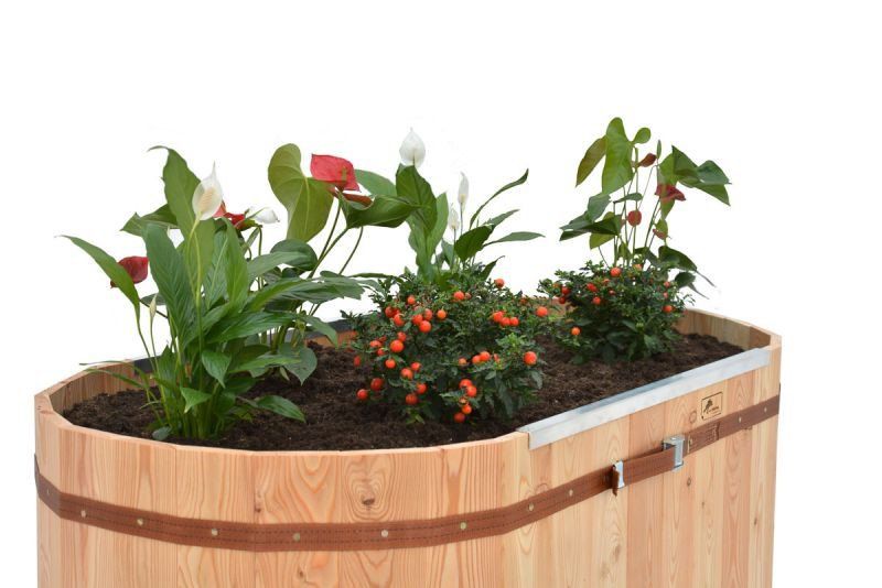 Vasi per fiori: Hochbeet EasyRoll 60cm – Nuovo e nell'imballaggio originale da St. Gallen venduto da Belcolor_AG_Flooring 1