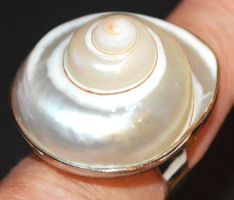 Ring L-8380 – Perlmutter Muschel Grössenverstellbar