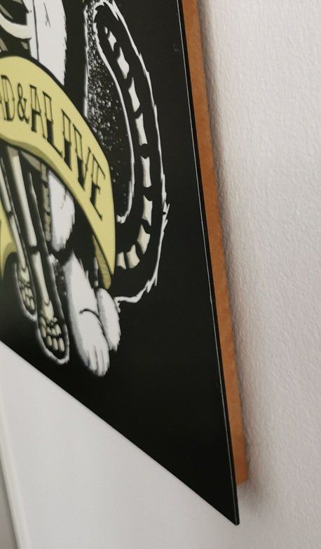 Foto & Immagini: Katze Dead & alive - Bild auf Holz – Usato da Wilen b. Wollerau venduto da morethanmusic 1