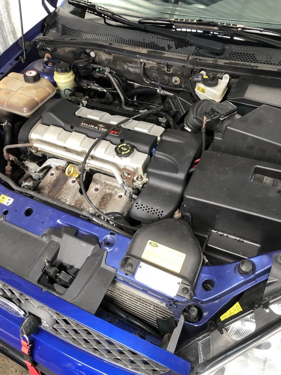 Ford Automobili: Ford Focus ST 170  – Usato da Linden venduto da 007-Bond 6