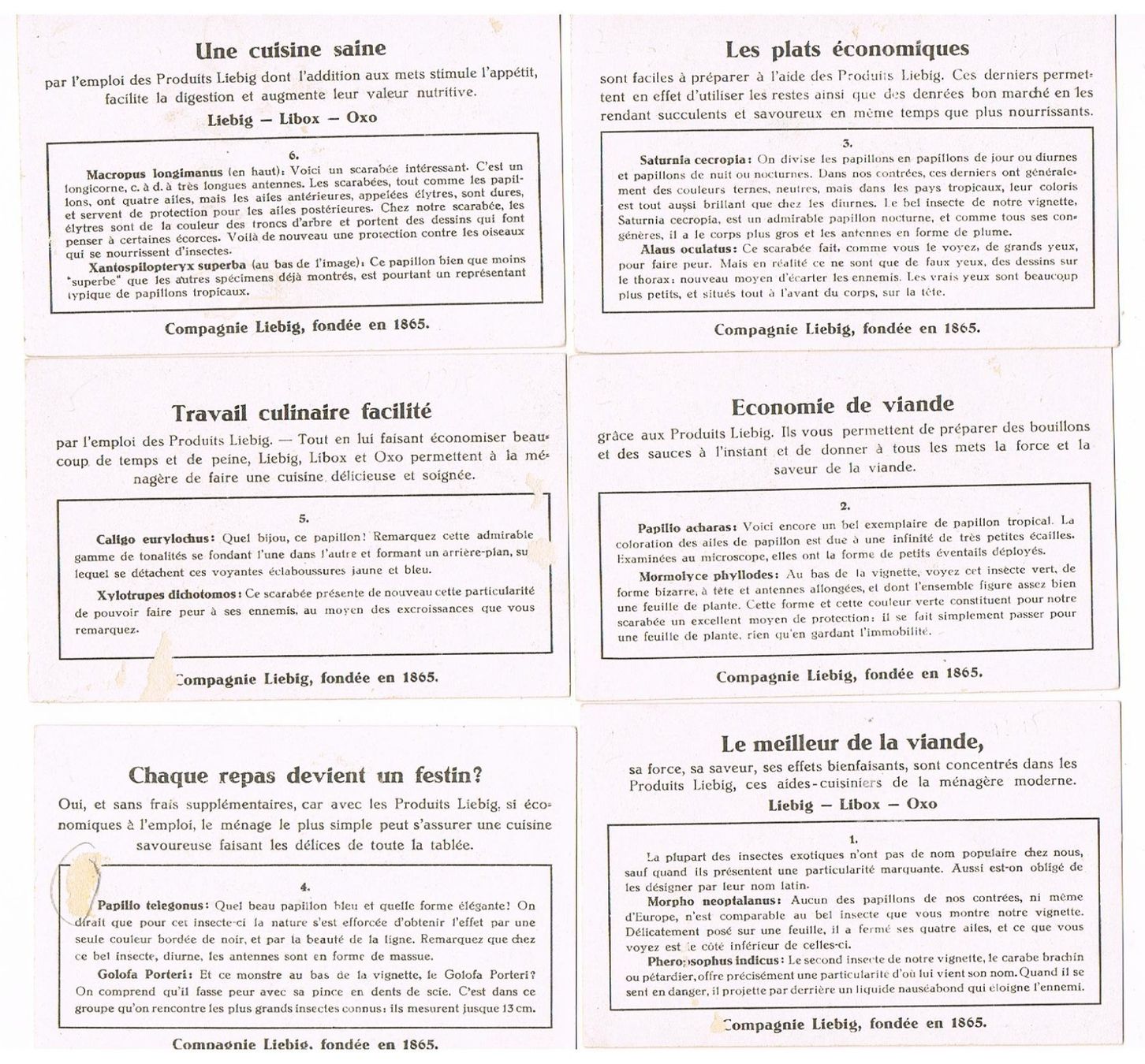Grafica & Litografie: Cartes publicitaires - Chromo – Usato da Genève venduto da edelweiss1900 7