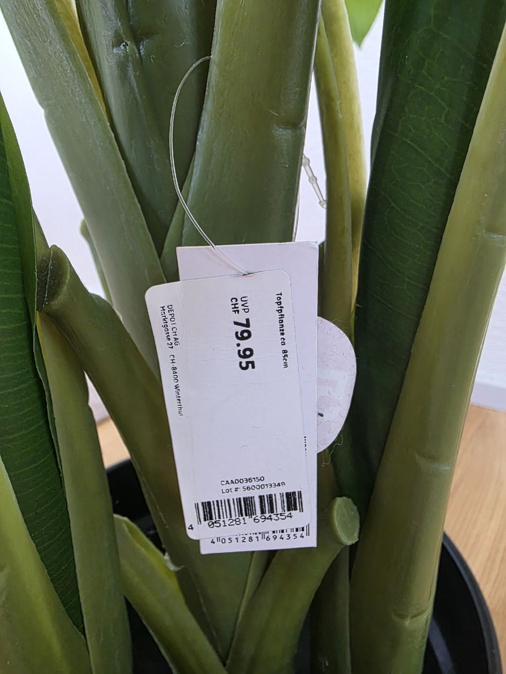 Pflanzen & Samen: Topfpflanze Kunstpflanze 85cm  – Gebraucht aus Schlieren von est_b2px 3