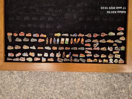 75 pins de chemin de fer schmid-muller + 18 autres + Vitrine