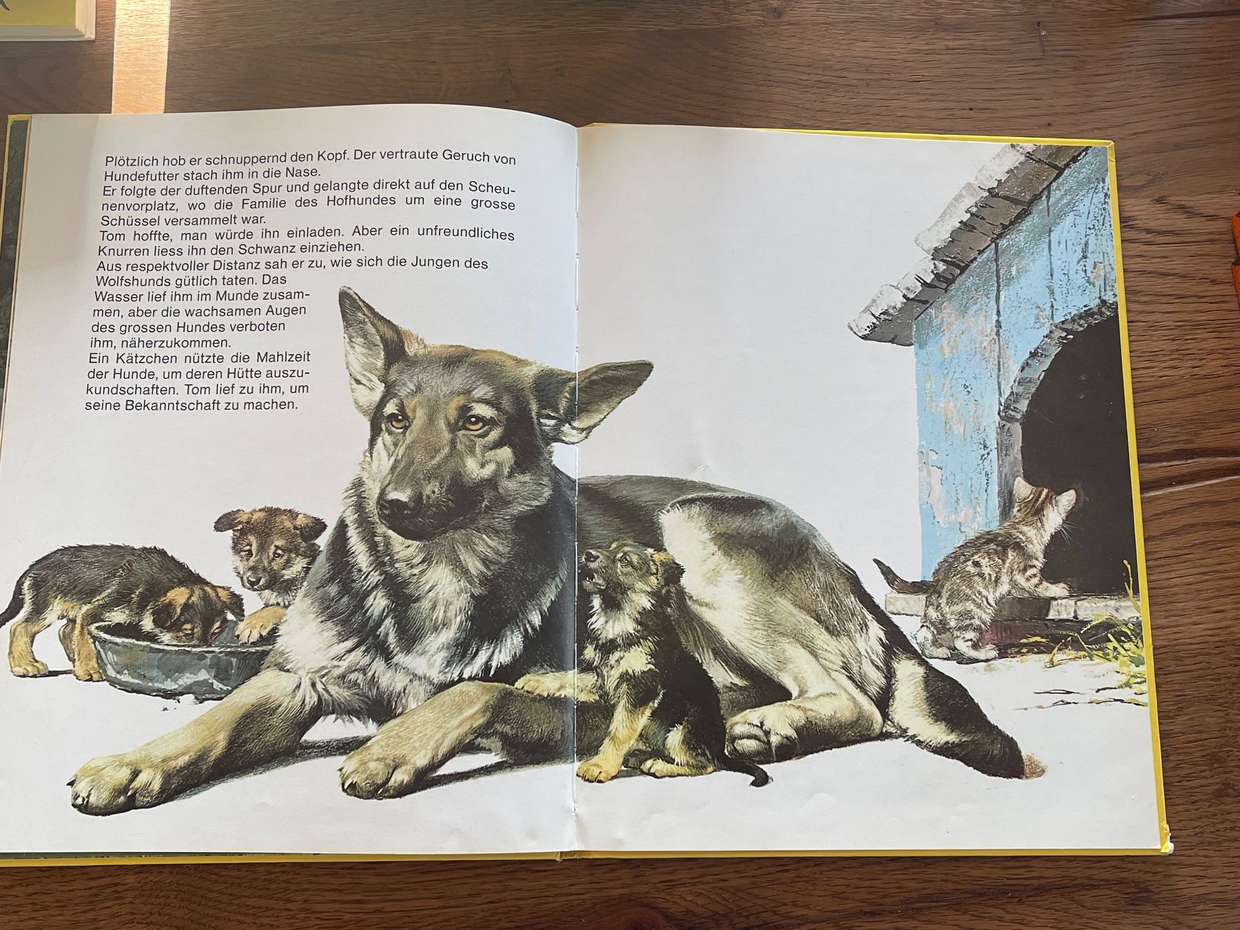 Libri: Kinderbuch "TOM, das herrenlose Hündchen" Mondo Verlag – Usato da Zuerich venduto da Dorsi 4