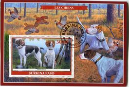 Block "English Pointer". Burkina Faso.