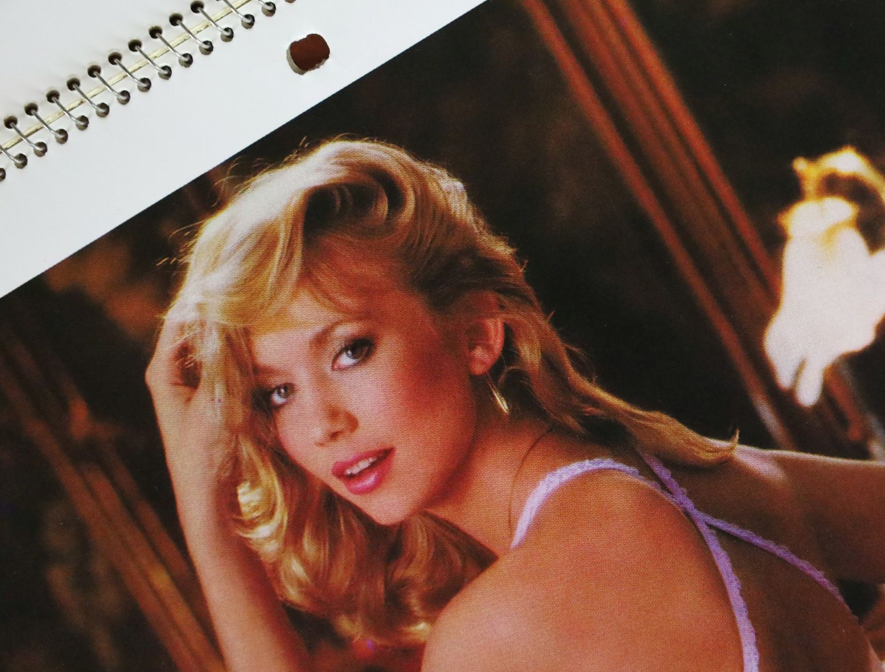 Playboy Calendari: PLAYBOY Kalender 1983 – Usato da Birrwil venduto da brandschatz_birrwil 4