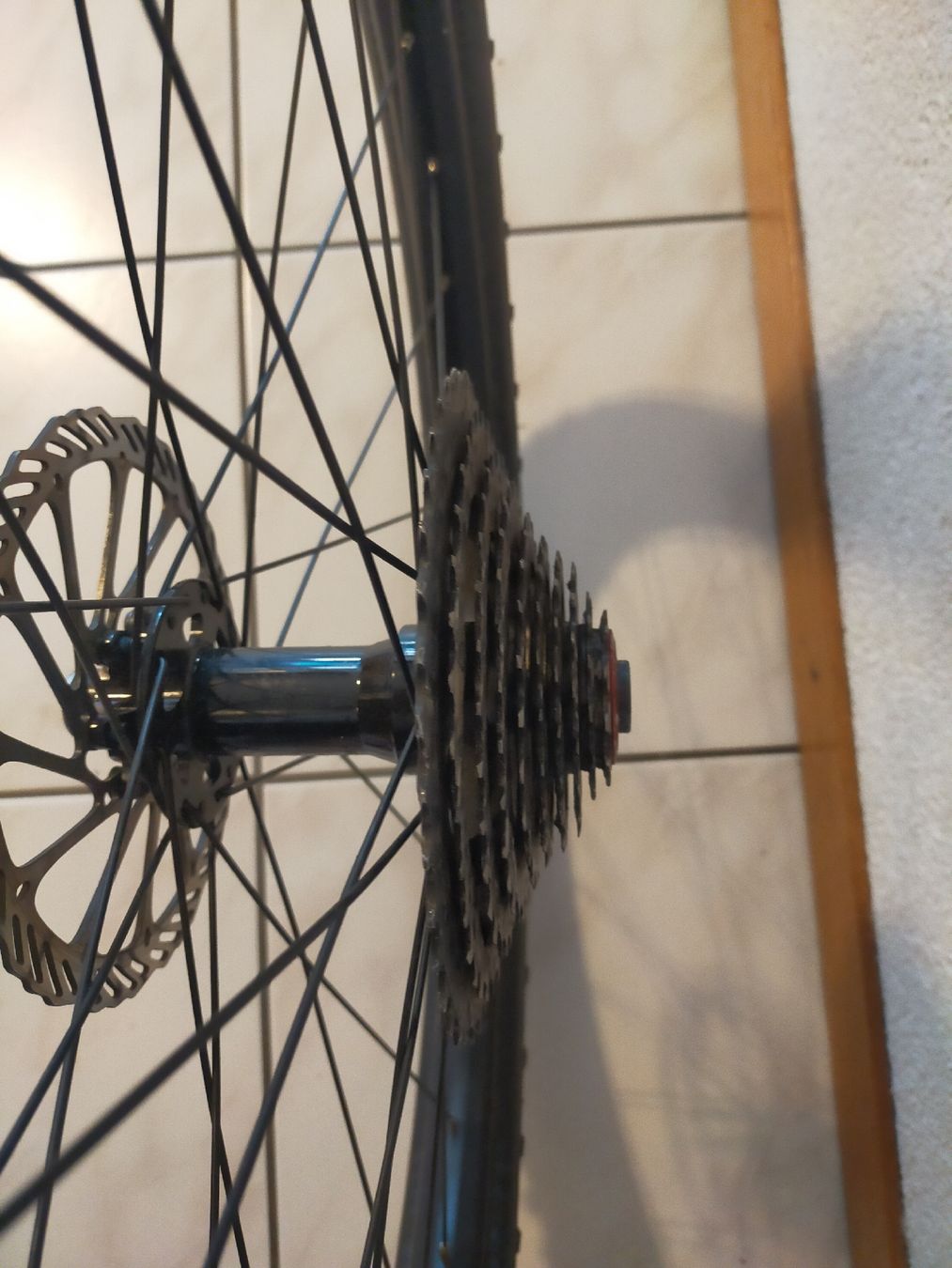 Pneumatici & Ruote complete: Hinterrad Downhill. EB152mm – Usato da Richenthal venduto da DonTom69 2