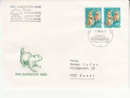 Sonderstempel A. 1005 Pro Juventute 1965