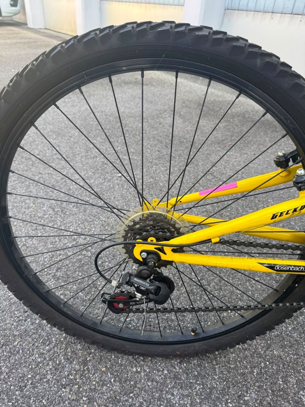 Biciclette: Gecko Mountain Bike – Usato da Emmenbrücke venduto da rap_h6r5 5