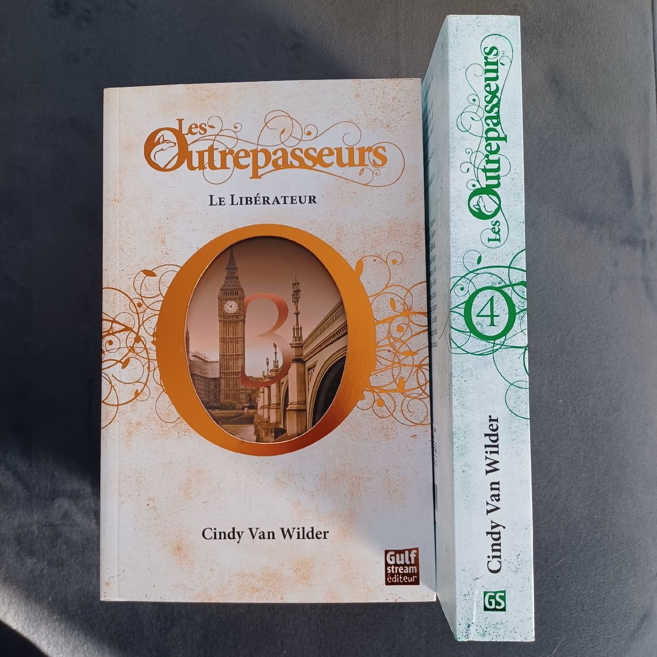 Libri: Les Outrepasseurs - Cindy Van Wilder – Nuovo (secondo la descrizione) da Ardon venduto da lau_f96t 3