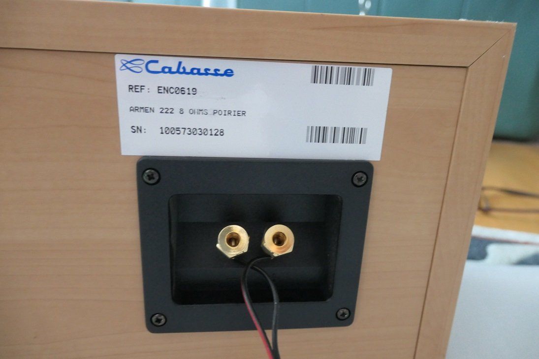 Cabasse Casse acustiche: Cabasse Armen 222 Center Speaker – Usato da St. Urban venduto da glm77 2