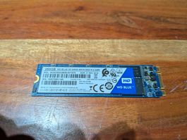 WD Blue 250GB M2 SATA-III SSD