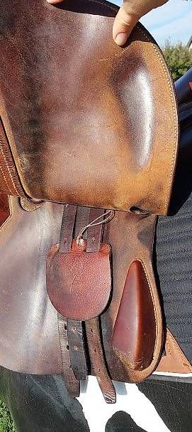 Selle & Accessori: Antares Springsattel   – Usato da Hünenberg venduto da ursregina 4