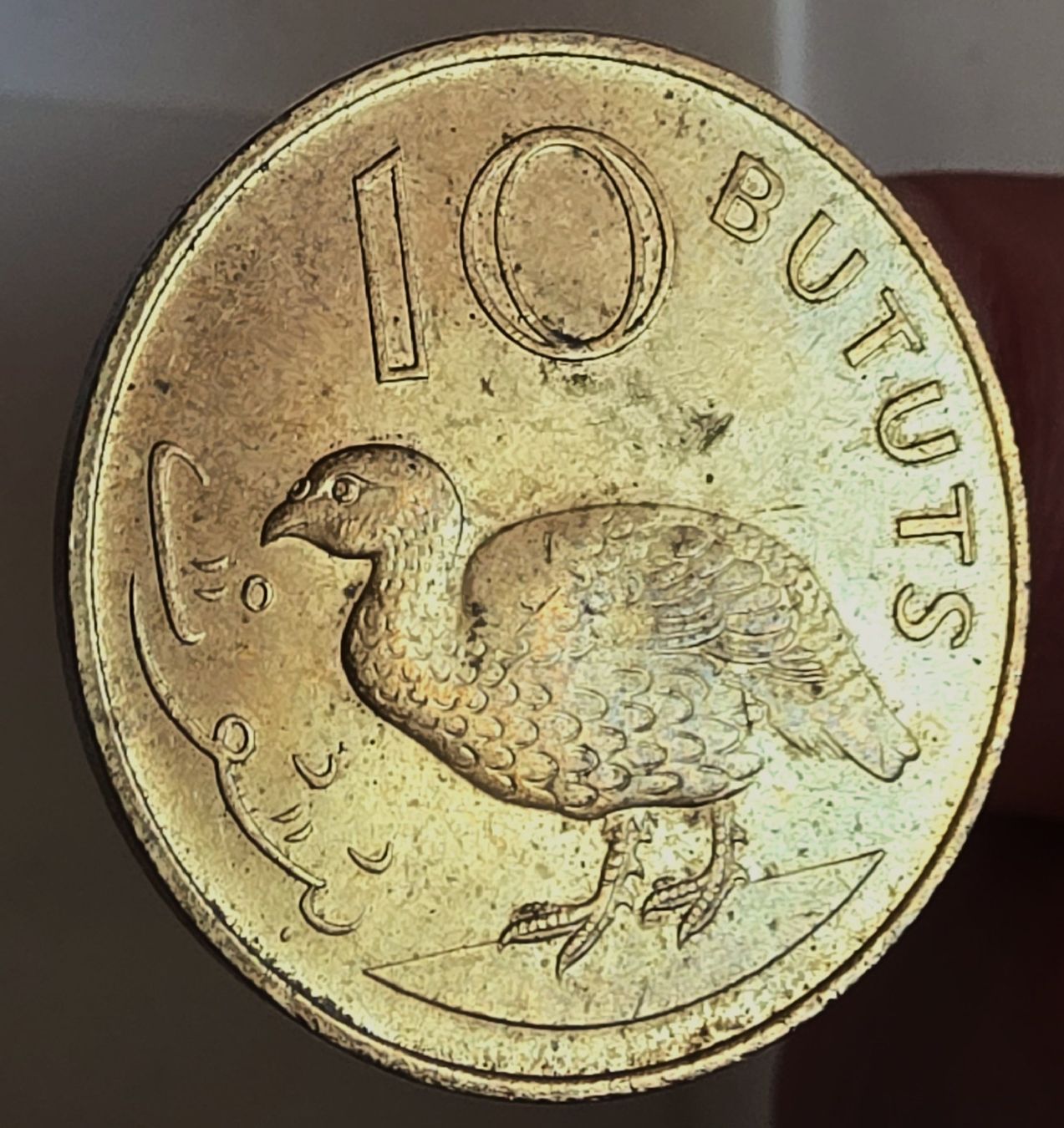 Tutti le monete: GAMBIA 10 BUTUTS 1971 – Nuovo (secondo la descrizione) da Winterthur venduto da Creso70
