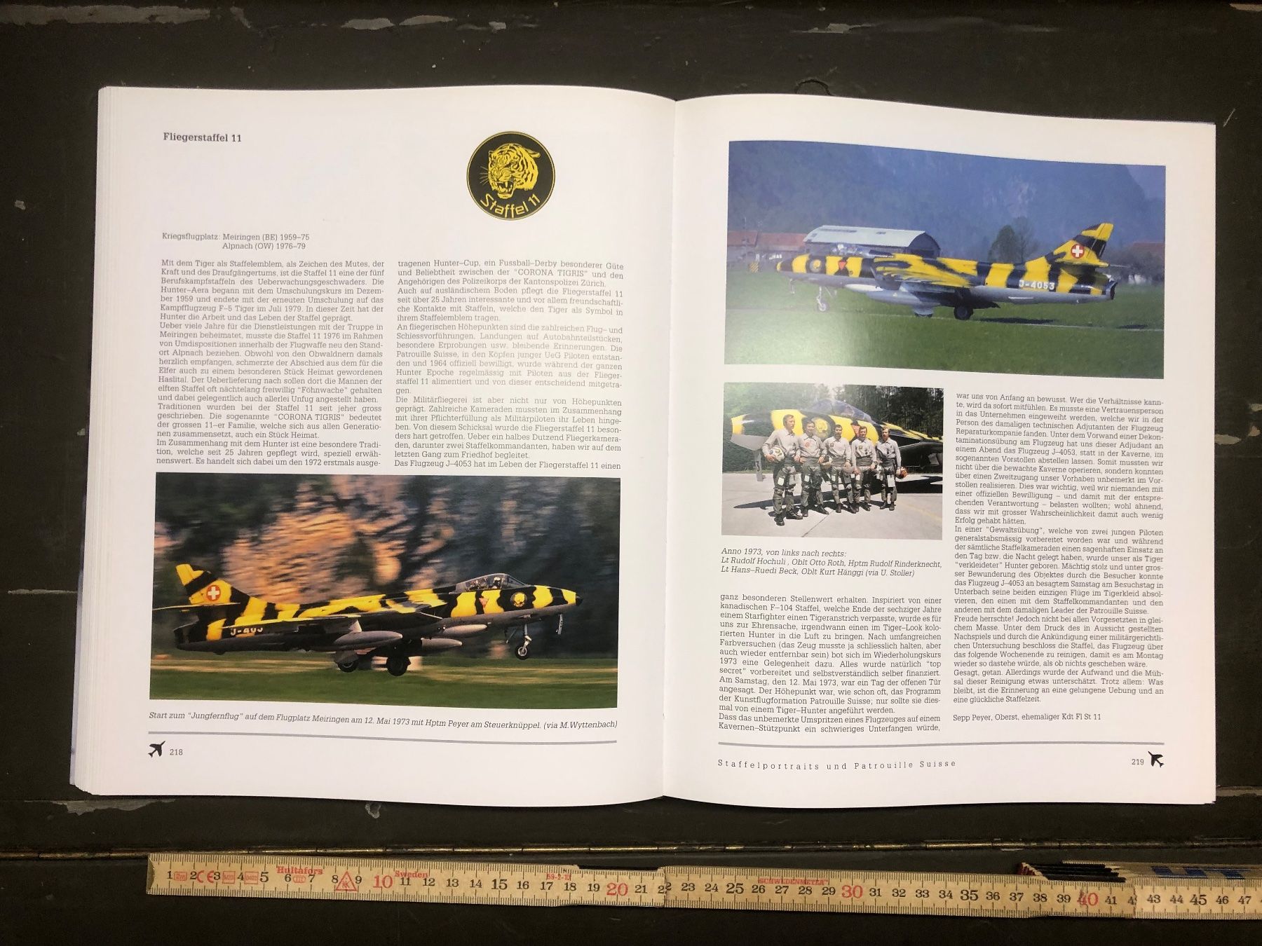 Libri: Schweizer Armee Luftwaffe Buch HUNTER Air Force Kampfjet – Usato da Madiswil venduto da TEMISO 4