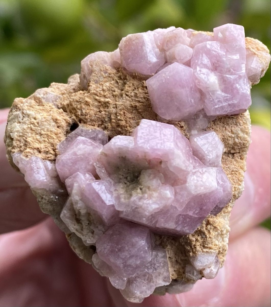 Minerali & Pietre curative: Schöner Granat Mexiko Santa Eulalia  – Usato da Selzach venduto da 321compac 6