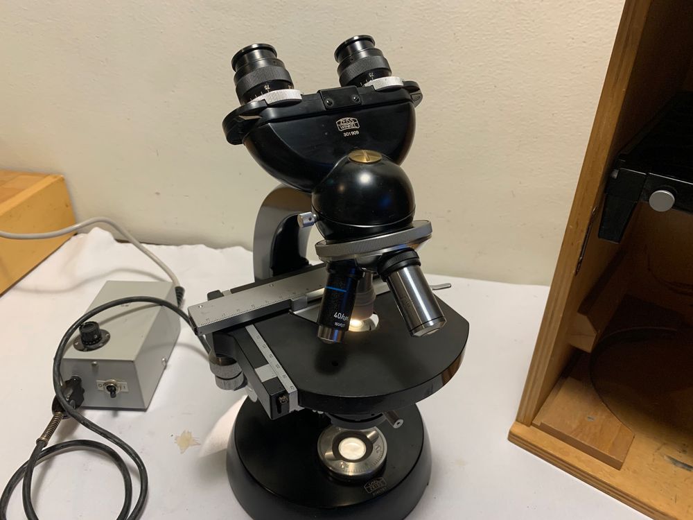 Microscope binoculaire Zeiss Winkel Kaufen auf Ricardo