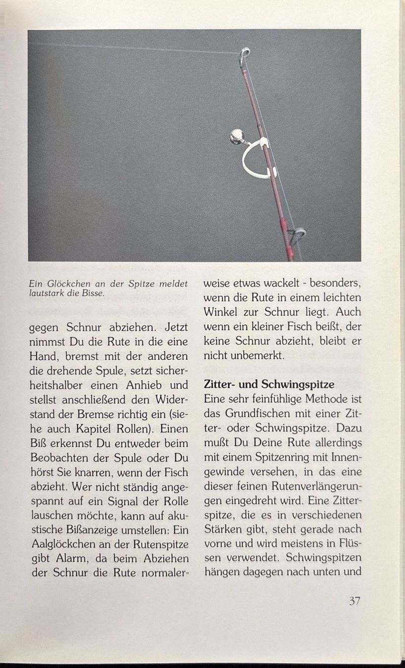 Libri: Weissert Frank, Angeln für Einsteiger – Nuovo (secondo la descrizione) da Sarnen venduto da Livres 5
