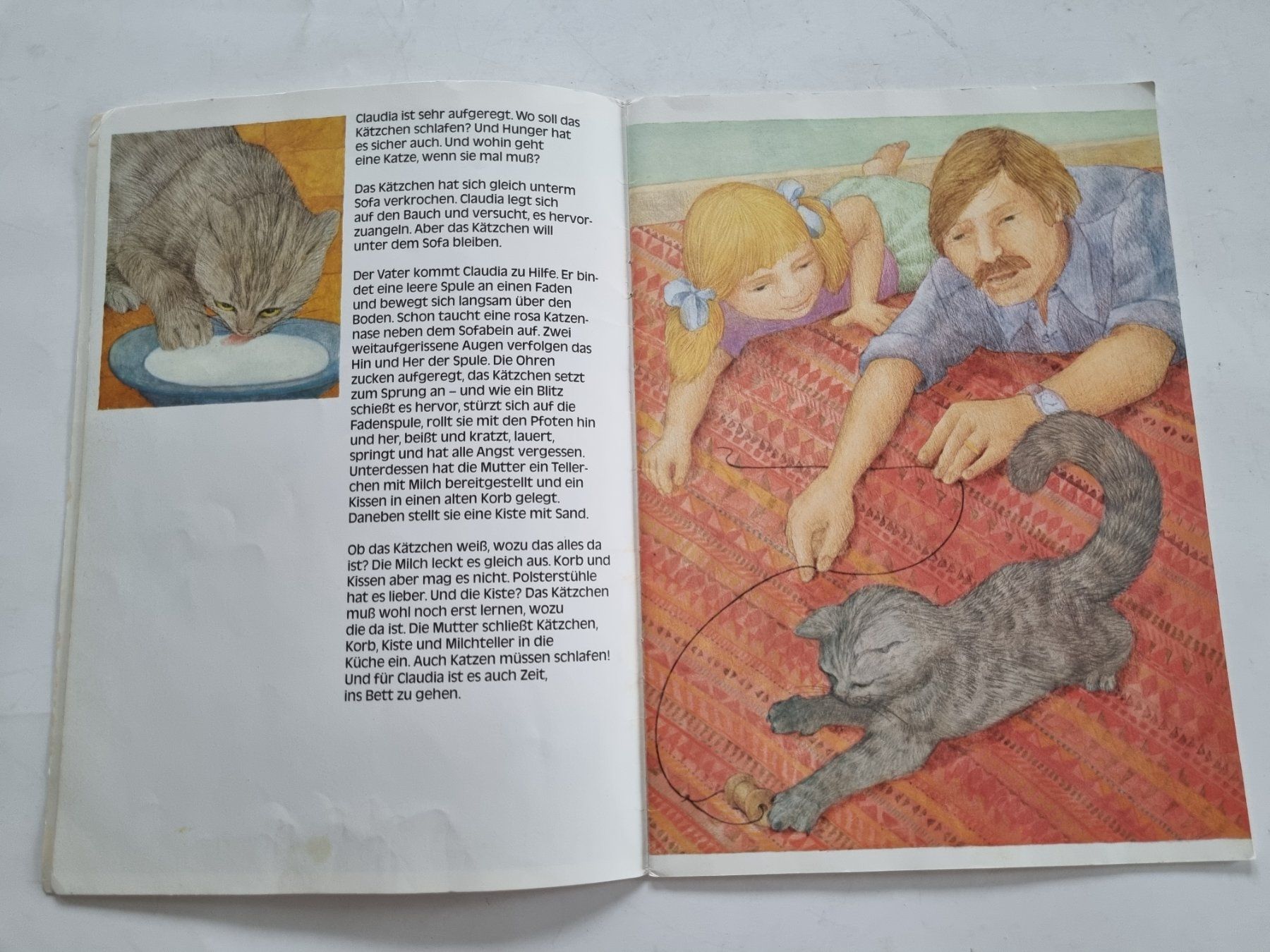 Libri: Bilderbuch "Mein Kätzchen Sebastian" v. E. Schmid – Usato da Opfikon venduto da Diversamente 3