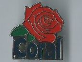 Coral, Pin