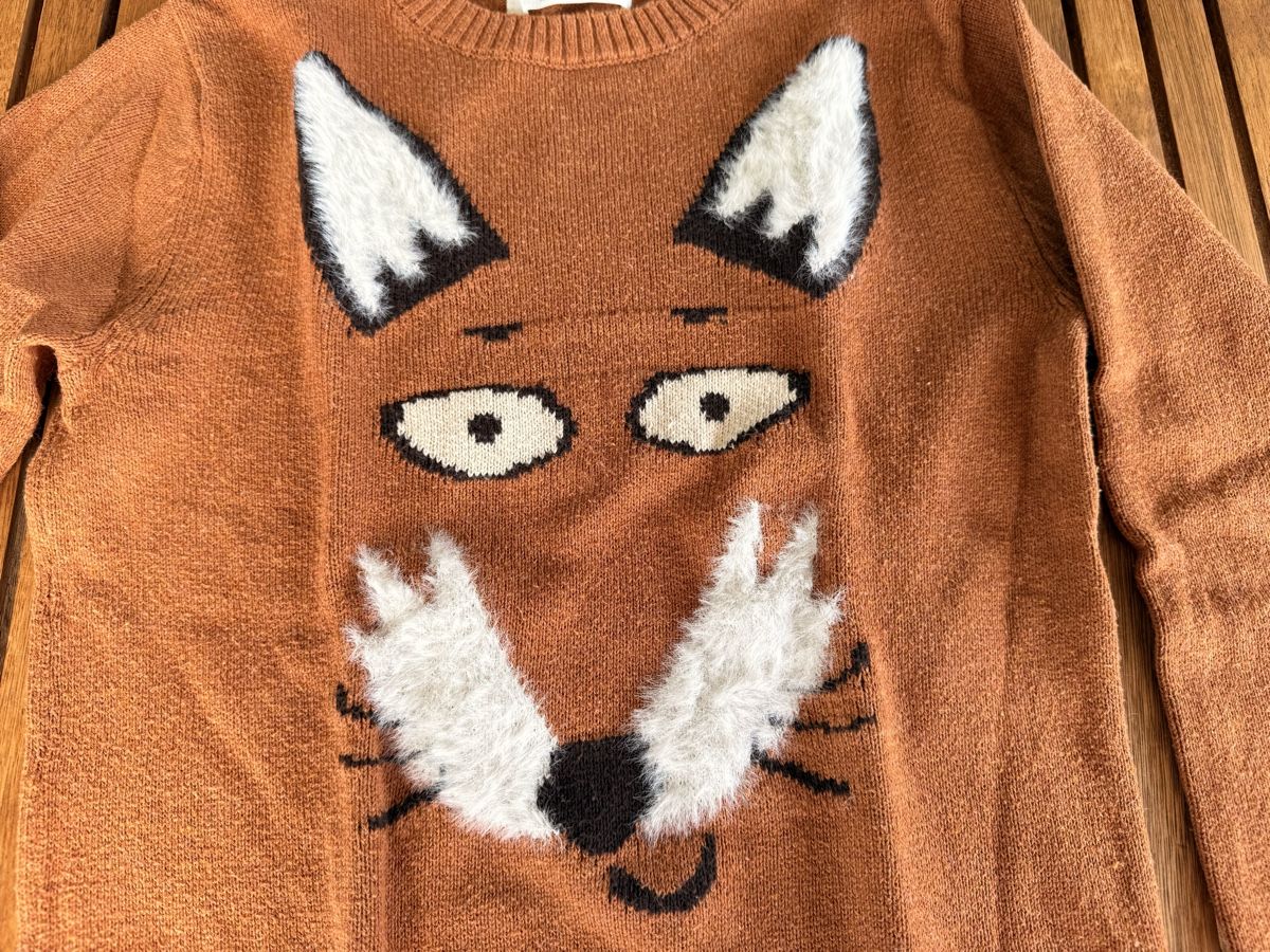 H&M Pulls et sweat-shirts: Fuchs-Pullover in Grösse 122/128 – D'occasion à Rotkreuz par ZG6343 2