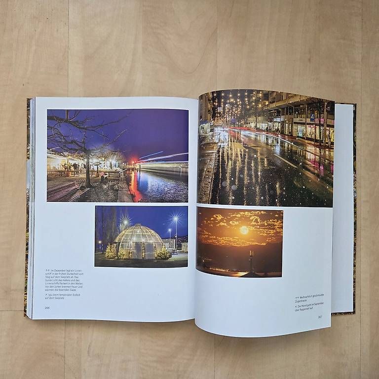 Libri: Wädenswil sehen - Ralf Turtschi – Nuovo (secondo la descrizione) da Zug venduto da Sunshine_113 2