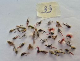 33  Verschiedene Nymphen