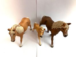 Schleich Häflinger Pferdefamillie (Hengst, Stute, Fohlen)