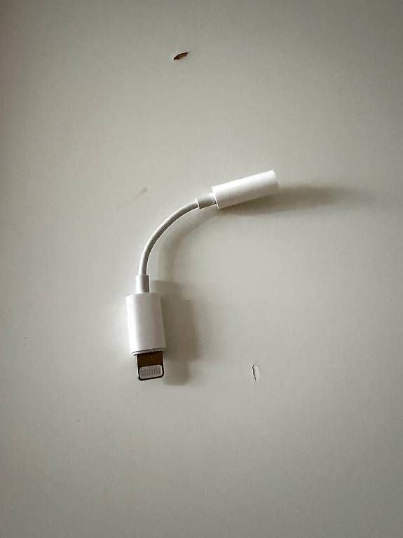 Laufwerke & Adapter: APPLE LIGHTNING KOPFHÖRERANSCHLUSS ADAPTER – Gebraucht aus Zurich von zohartze
