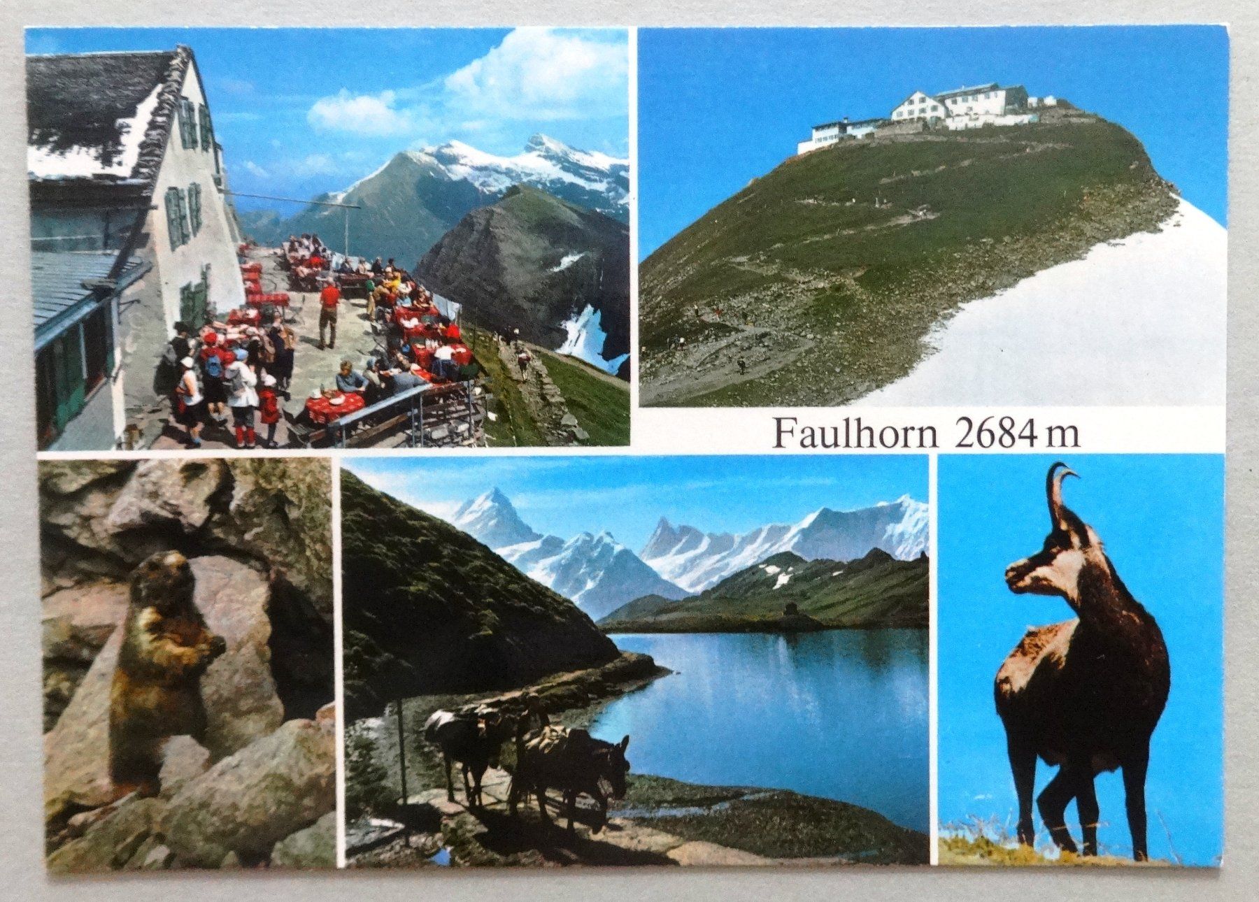 Cartes postales: Faulhorn 2684 m – D'occasion à Fétigny par Billy2miny