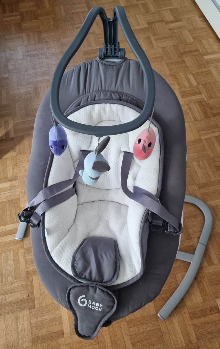 Babymoov Wippen & Schaukeln: Babyschaukel – Gebraucht aus Lengnau BE von raki12