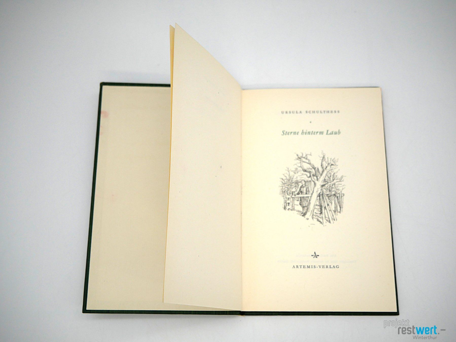 Libri: URSULA SCHULTHESS - Sterne hinterm Laub – Usato da Winterthur venduto da Restwert_Winterthur 2