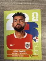 PANINI Fifa PAN 11