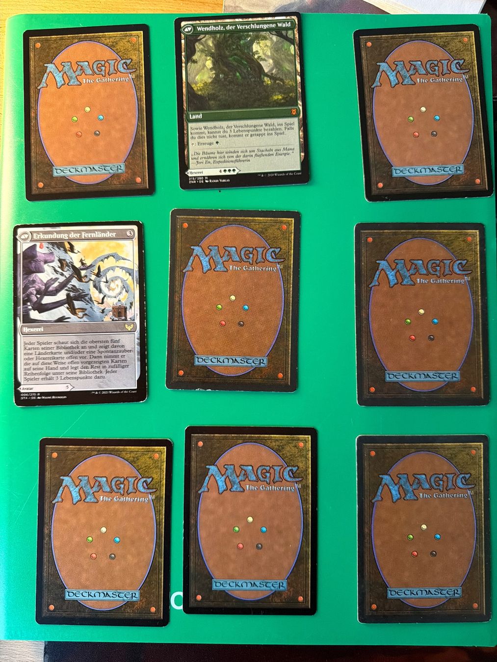 Magic The Gathering Carte collezionabili: Magic the Gathering / Mix wertvollere Karten – Usato da Wabern venduto da Christianutz 1
