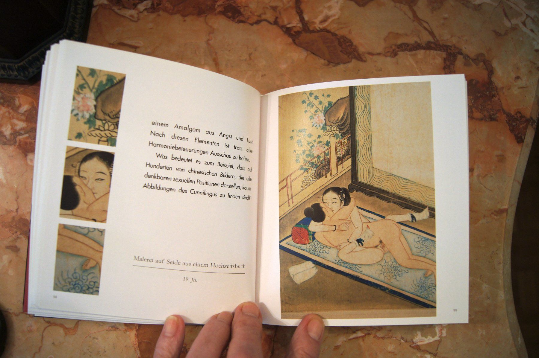 Libri: Erotische Kunst aus Asien – Nuovo (secondo la descrizione) da Geroldswil venduto da ARTEFACTO 6