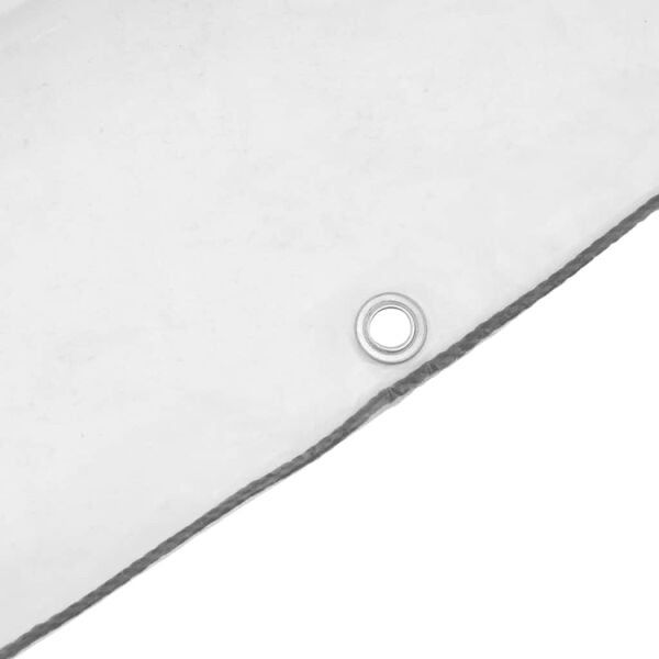 Altri Accessori: Bâche transparente avec œillets 1x2 m polyéthylène – Nuovo e nell'imballaggio originale da Palézieux venduto da bantouklan1 5