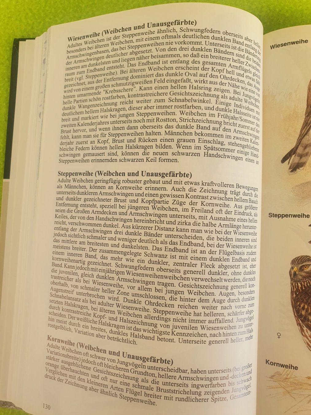 Libri: Die Vögel Europas – Usato da Steinhausen venduto da joseph-sen 5