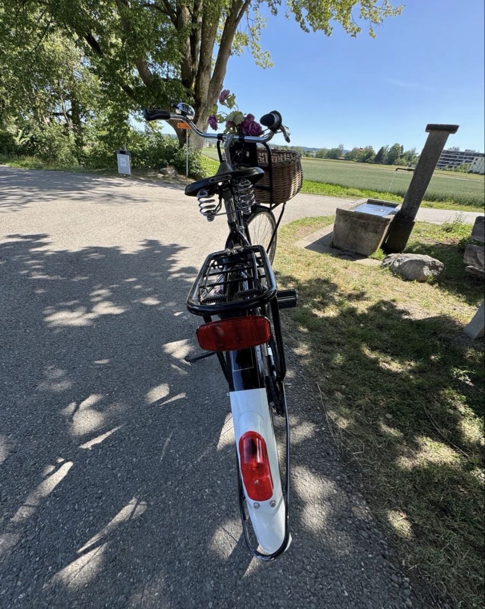 Gazelle Biciclette: Gazelle Hollandvelo Popular C7 – Usato da Fällanden venduto da Caramel7 1