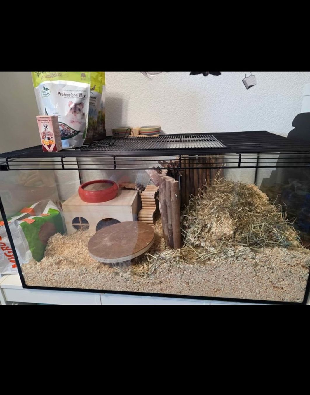 Gabbie, trasporto & Sicurezza: Hamsterkäfig mit Zubehör gebraucht – Usato da Glattpark(Opfikon) venduto da dra_lw2t