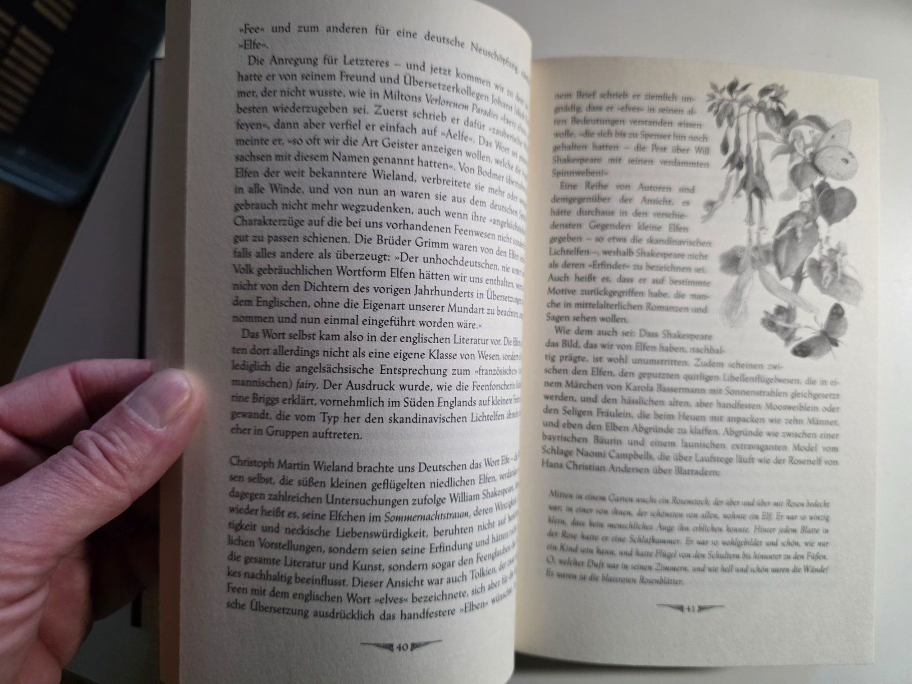 Libri: Das Buch der Elfen und Feen - Ditte Giovanni Bandini - 2004 – Usato da Walterswil BE venduto da Lonitti 9