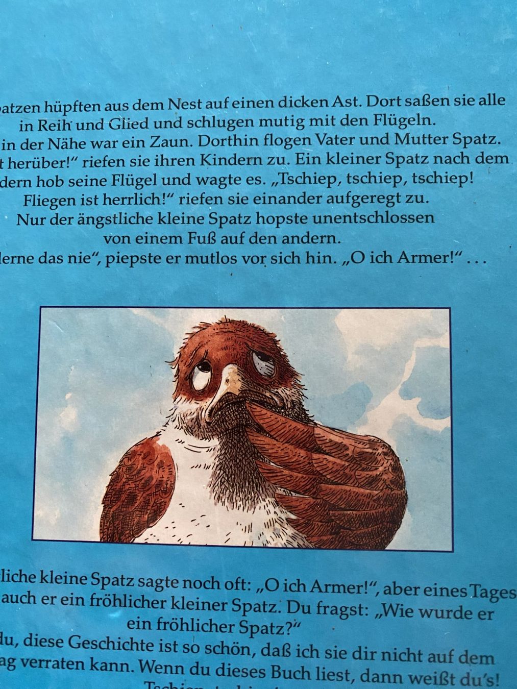 Libri: Der ängstliche kleine Spatz – Nuovo (secondo la descrizione) da Sachseln venduto da basti1950 1