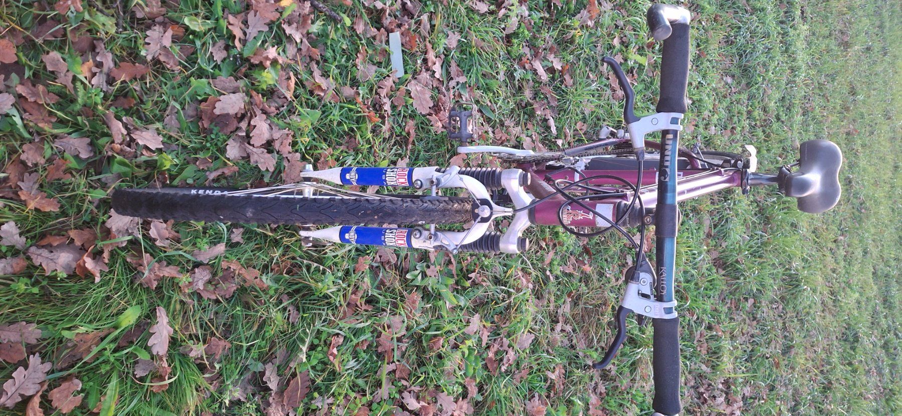 Raleigh Velos: Kult Mtb Raleigh – Defekt aus Kyburg von JBMNT2020 3