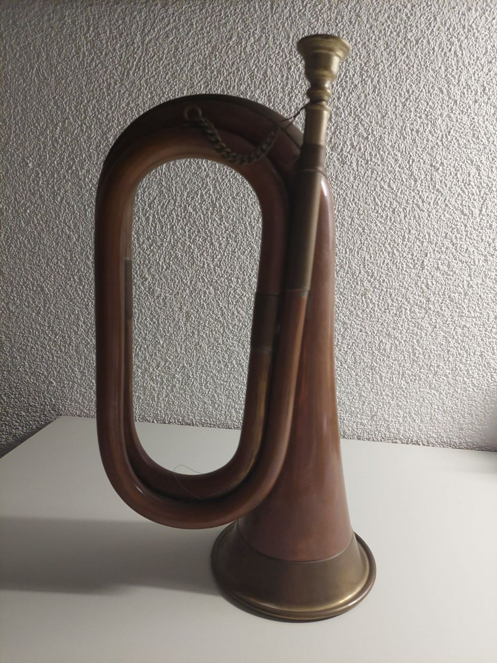 Strumenti musicali: Signalhorn Clairon – Usato da Wil SG venduto da ram_c5j2